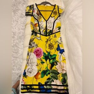 NWOT Roberto  dress ,